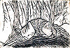 木陰でお昼寝猫